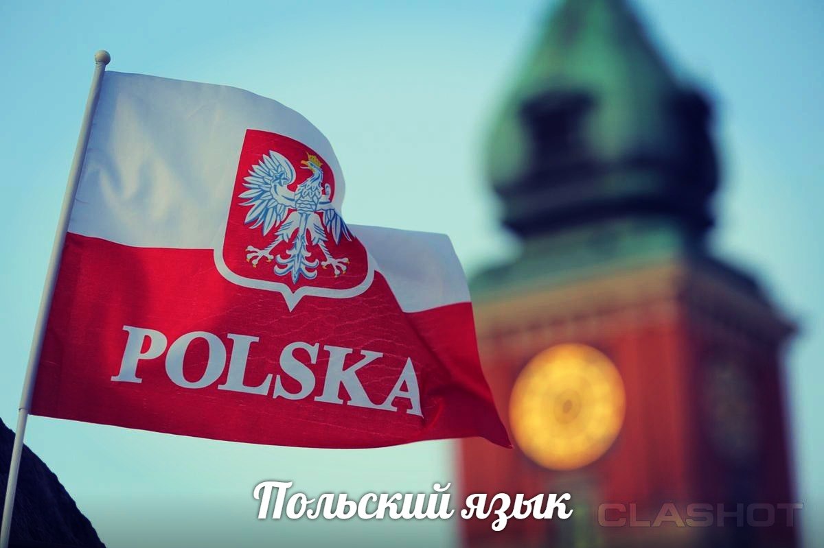 перевод на русский с польского перевод с польского на русский